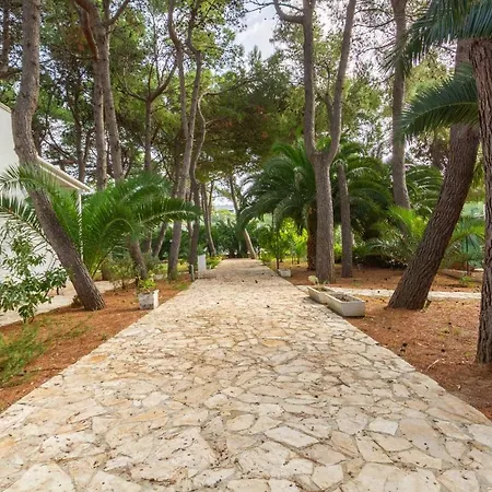 Iremar C3 - Myho Casa