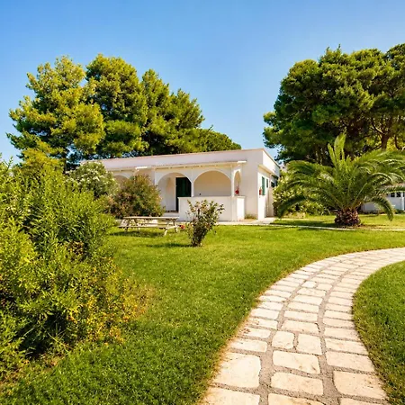 Iremar C3 - Myho Casa *